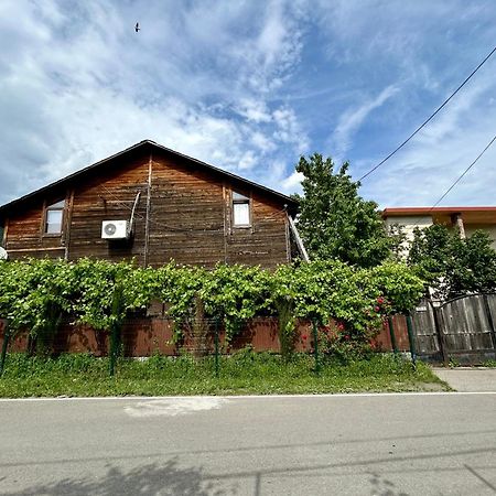 ❆Cozy, 4 Br. Villa In Ananuri❆ Dış mekan fotoğraf