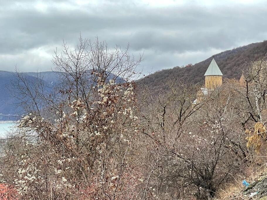 ❆Cozy, 4 Br. Villa In Ananuri❆ Dış mekan fotoğraf